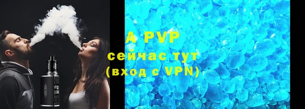 шишки Новокубанск