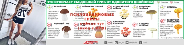 мет Новозыбков