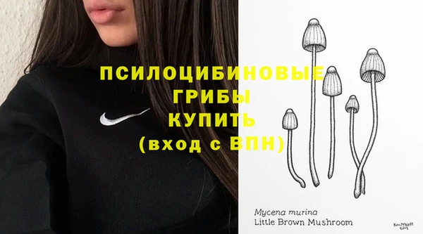 дурь Нефтекумск