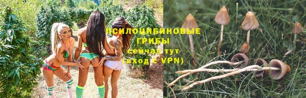 мет Новозыбков