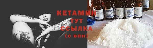 шишки Новокубанск