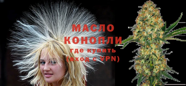 мет Новозыбков