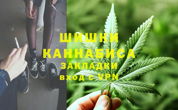 шишки Новокубанск